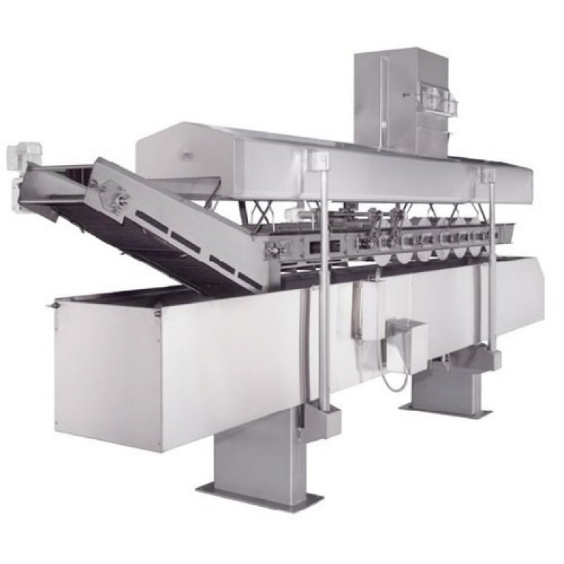 Continuous Potato Chips Fryer