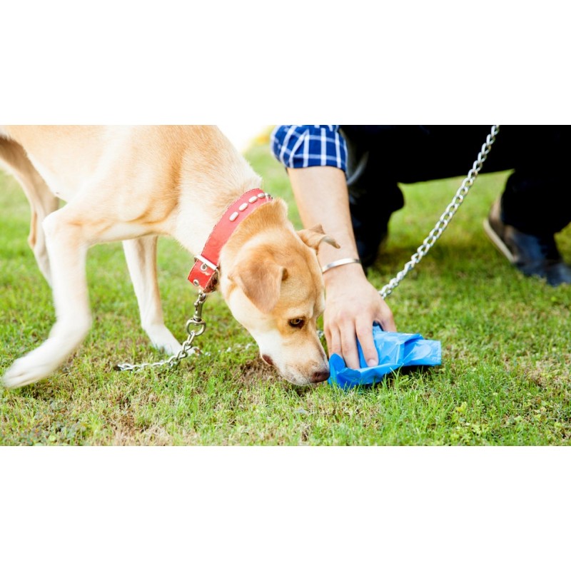 Pet Bag