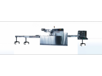 Supplier of Center seal Pouch Packing Machine by Hexa Meccanica near Borbhatha Bet Bharuch