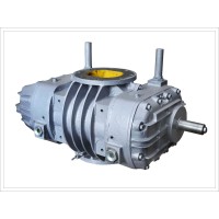 Twin Lobe Air Compressor