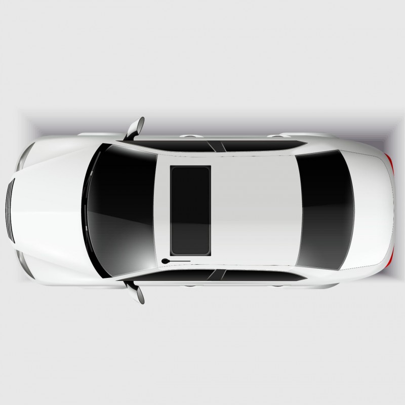Full Body Dent Paint