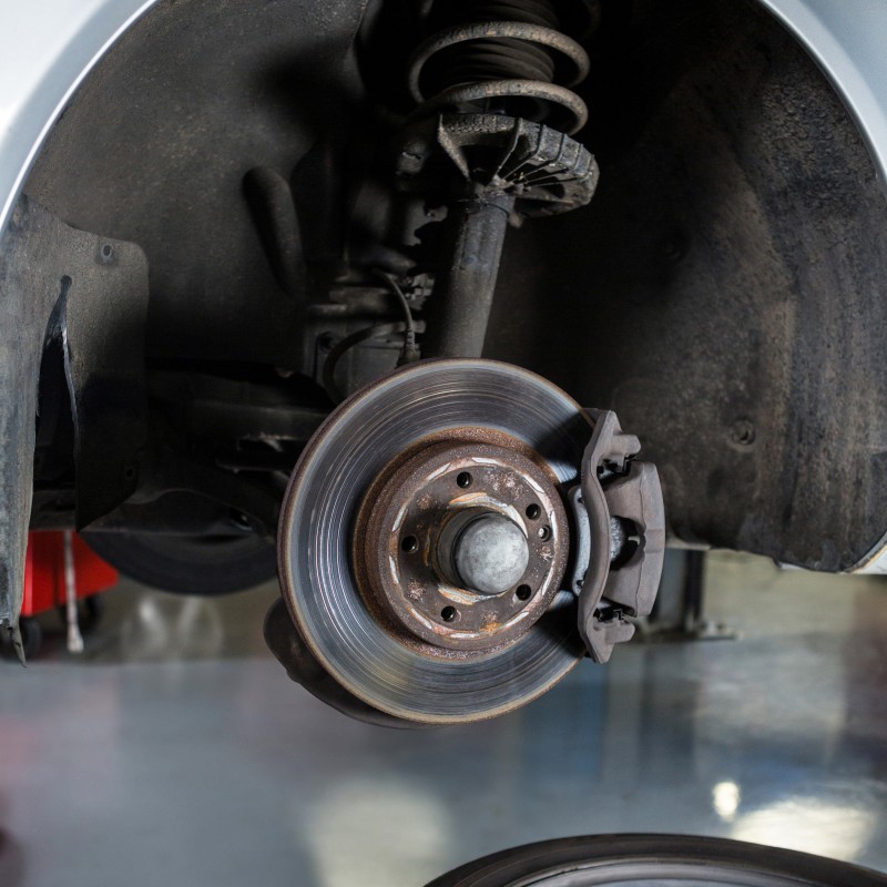 Rear Brake Shoes