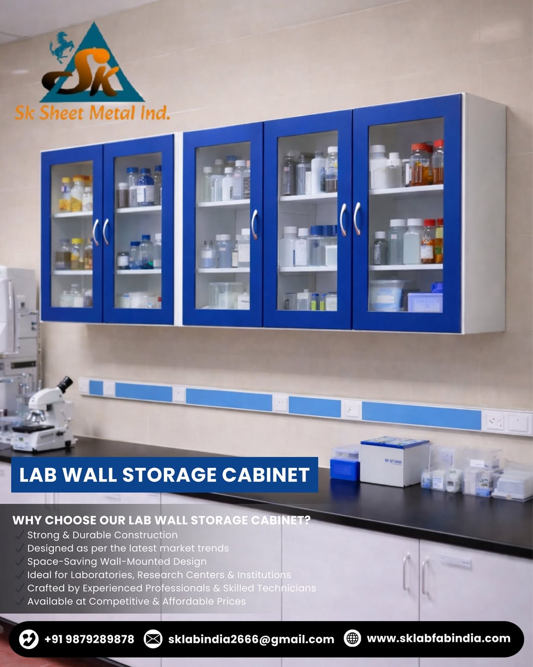 Lab Wall Storage Cabinet