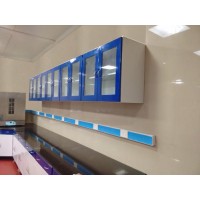 Lab Wall Storage Cabinet