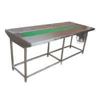 Packing Conveyor