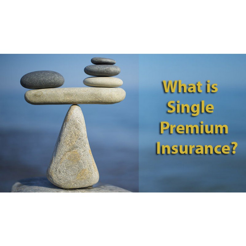 Single Investment Plan Tatva Group Ahmedabad