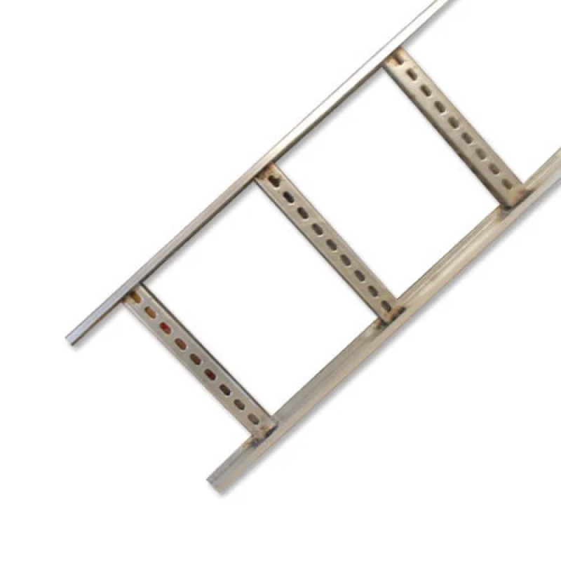 GI Ladder Type Cable Trays