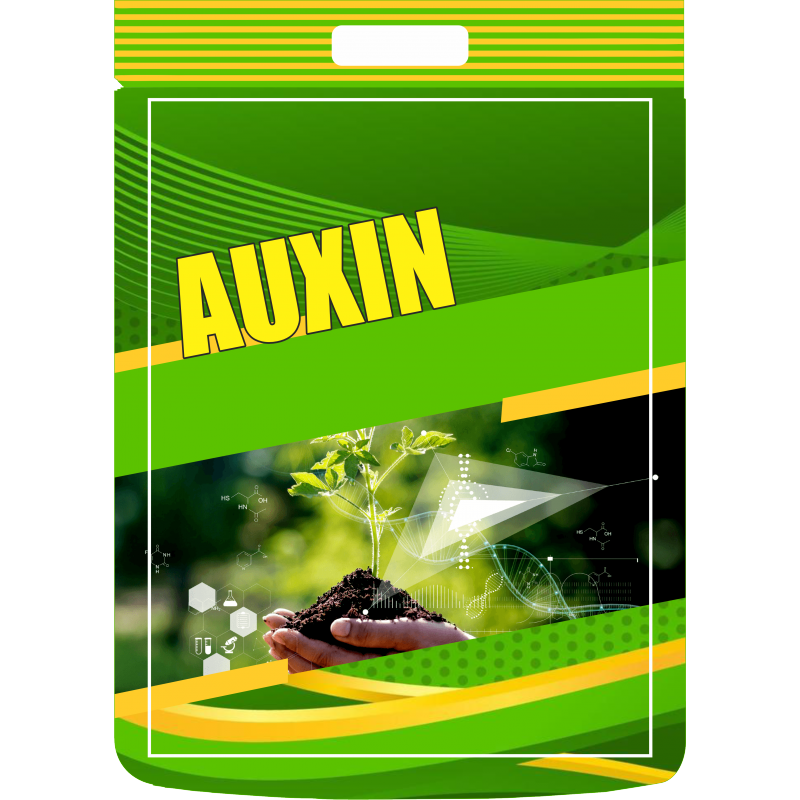 AUXIN