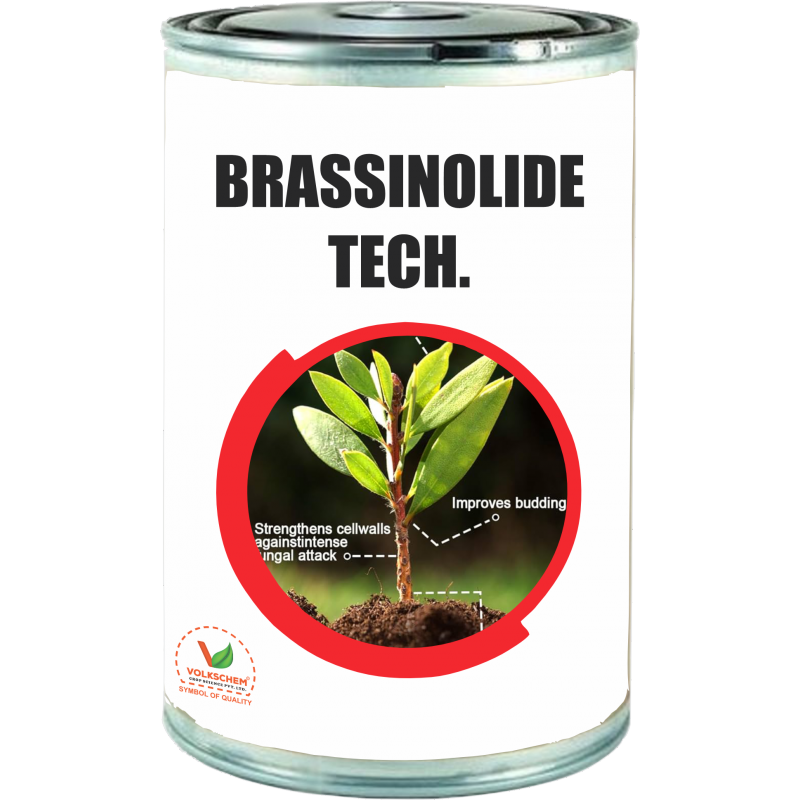 BRASSINOLIDE TECH.
