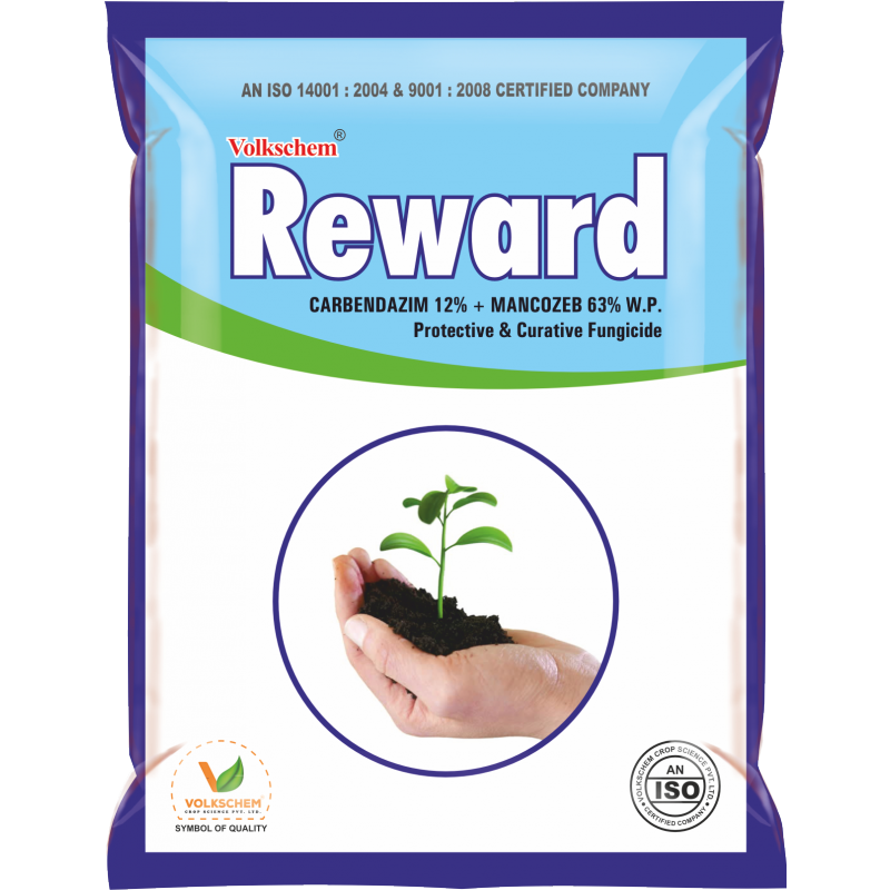 REWARD REWARD