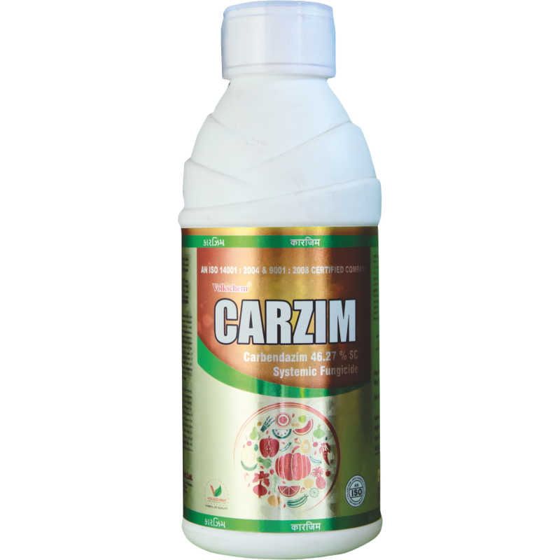 CARZIM CARZIM