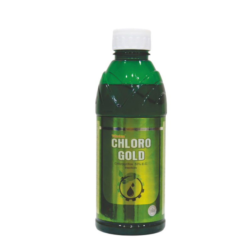 CHLORO GOLD