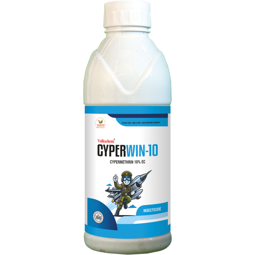 CYPERWIN-10