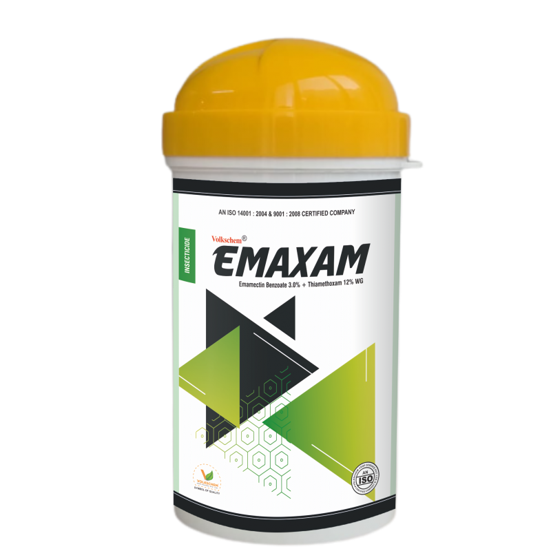 EMAXAM