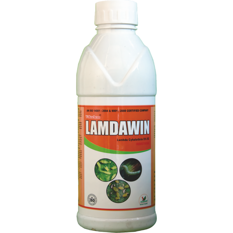 LAMDAWIN