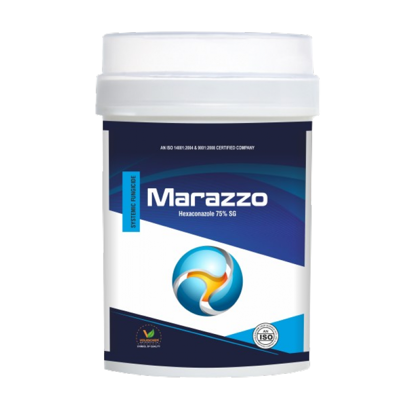 MARAZZO MARAZZO
