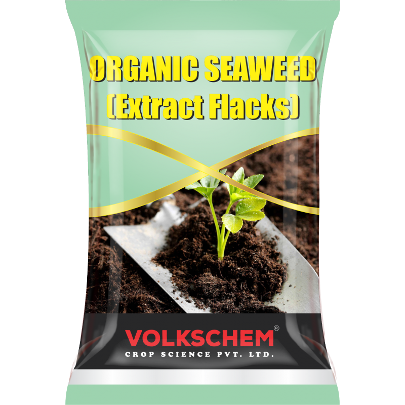 ORGANIC SEAWEED EXTRACT FLACK