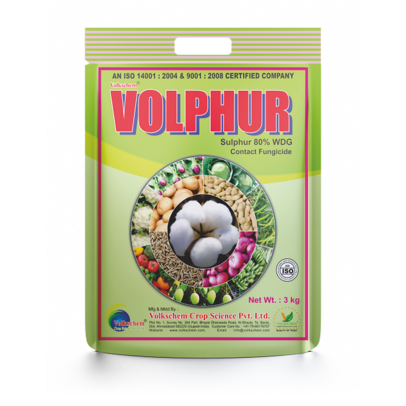 VOLPHUR VOLPHUR