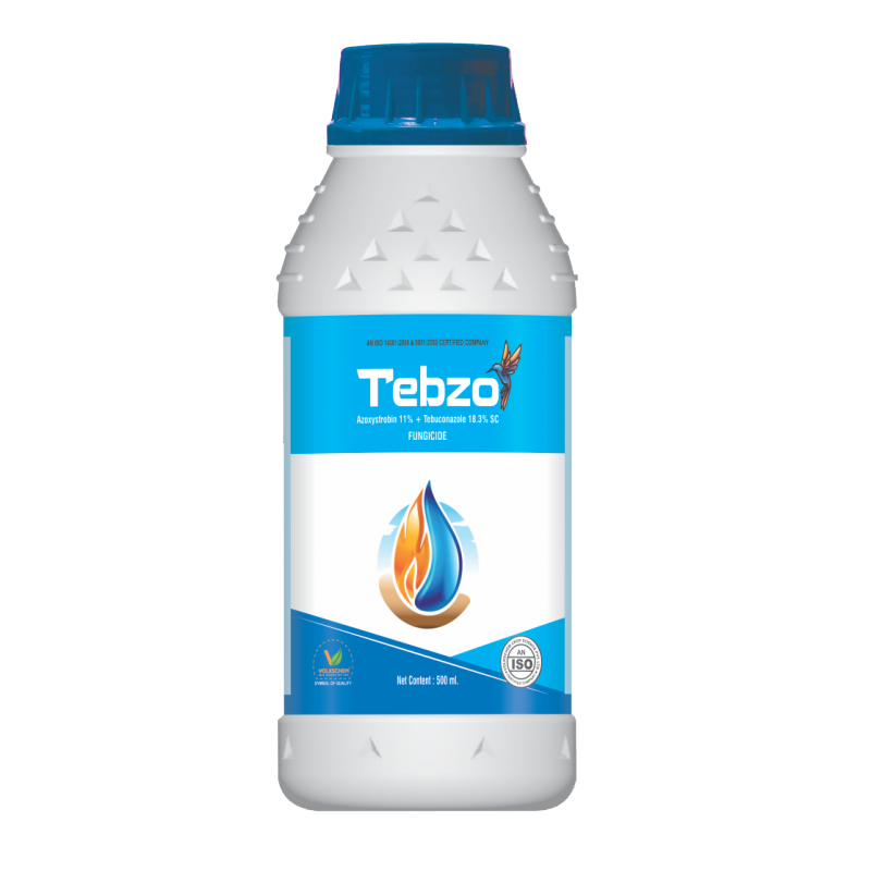 TEBZO TEBZO