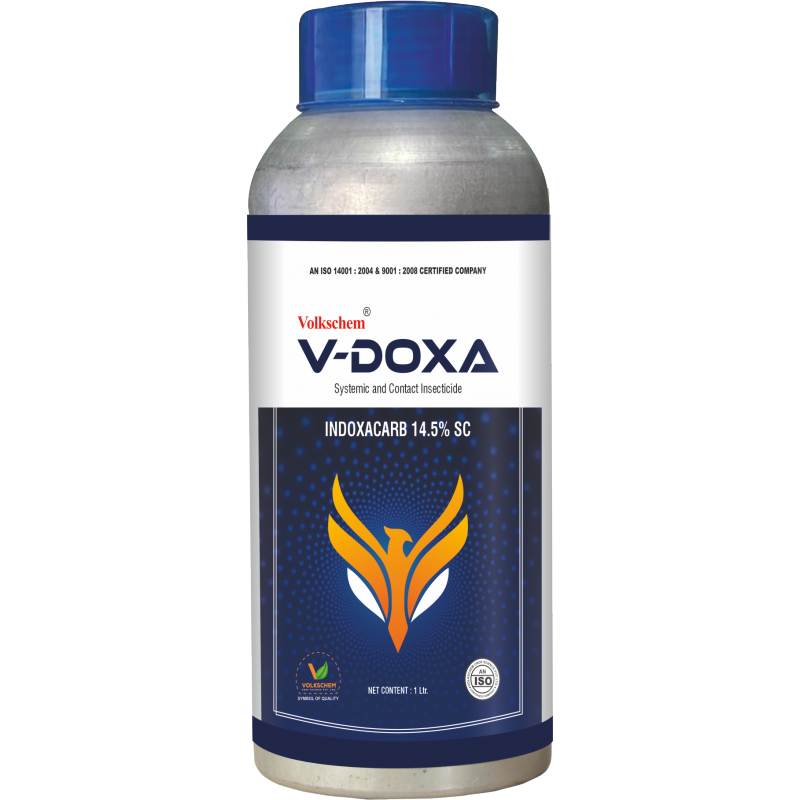 V-DOXA