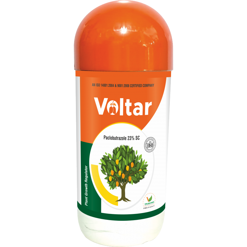 VOLTAR