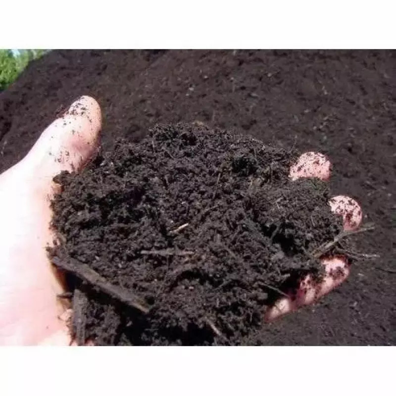 Farmyard Composts