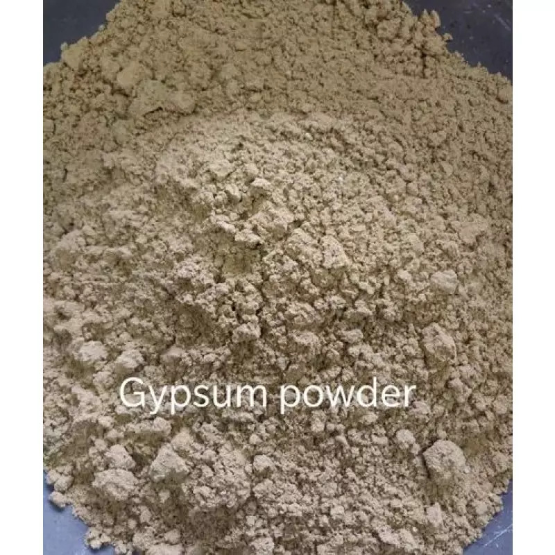 Gypsum Powders