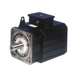 Servodrives & Brushless Motors
