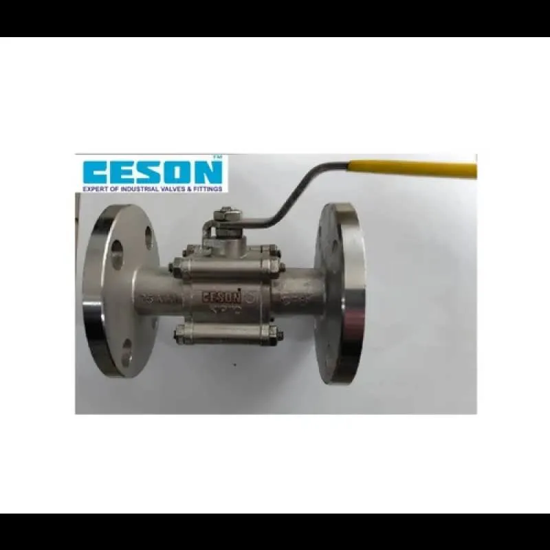 SS Single Piece Ball Valve
