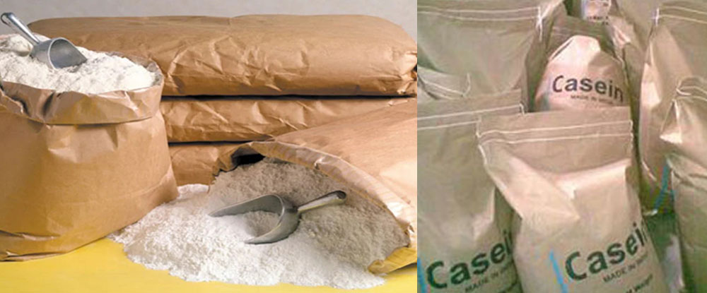 Casein highly Nutritional for Pharmaceutical Products