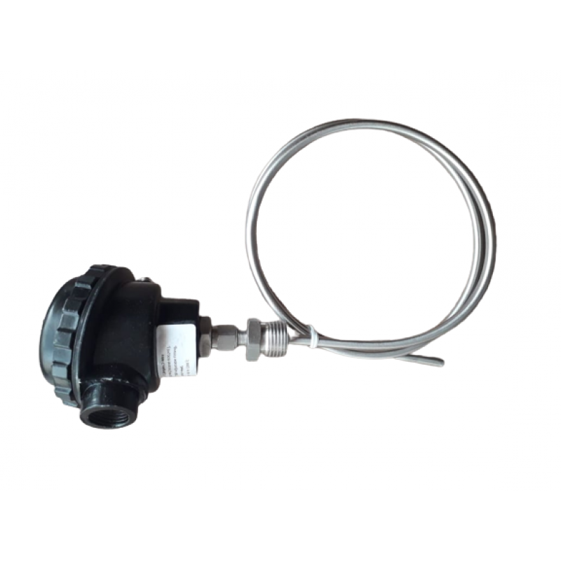 Head Type RTD Sensor CPI Technology Private Limited Ahmedabad